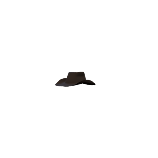 Leather Hat